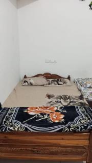 Pragati home stay - Garudeshwar - 1