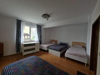 Radauti Residence 1P - Rădăuţi - 8