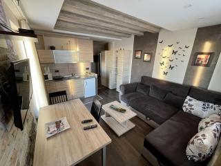 Apartment Bellevue E7 - Kopaonik - 4