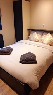 luxury chalet by the forest! - Anloo - 6
