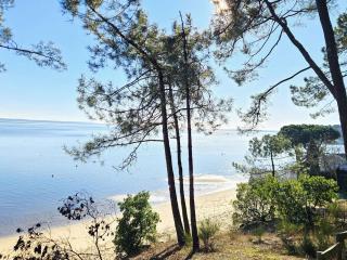 Villa spacieuse avec piscine chauffée, jardin et terrasse à Petit-Piquey - FR-1-736-9 - Lège-Cap-Ferret - 8