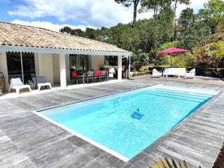 Villa spacieuse avec piscine chauffée, jardin et terrasse à Petit-Piquey - FR-1-736-9 - Lège-Cap-Ferret - 6