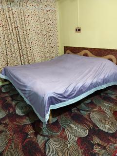 Hotel New Green View a part - Srinagar - 6