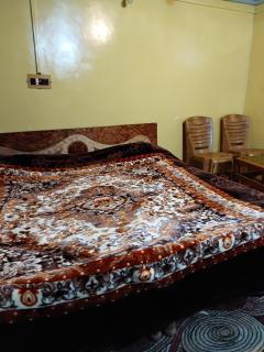 Hotel New Green View a part - Srinagar - 7