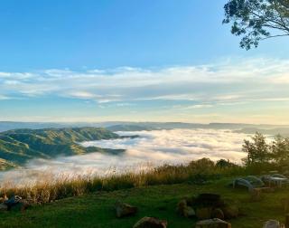 Blue Bird Lodge - Inchanga - 7