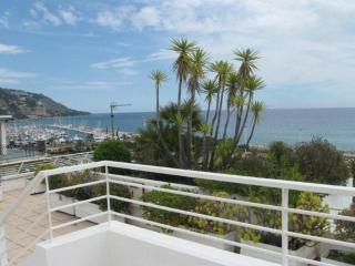 Superbe 3P climatisé avec grande terrasse et parking - FR-1-196-290 - Menton - 5