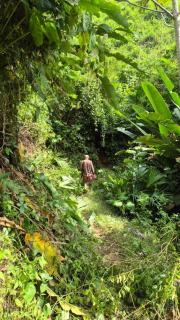Eco Farmstay Finca Las Aguas - Santa Marta - 2