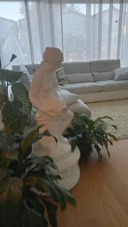 B&B Grace - Villa Opicina - 3