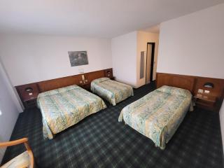 Hôtel Christ Roi - Lourdes - 6