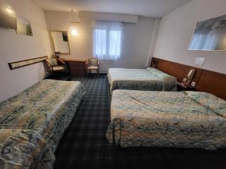 Hôtel Christ Roi - Lourdes - 7