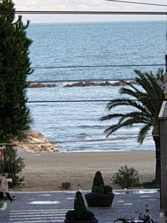 eleonora - Grottammare - 0