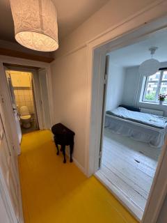 Bright apartment - Kopenhagen - 7