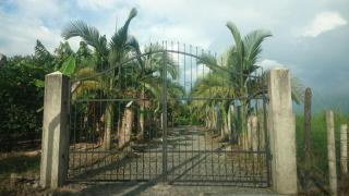 Casa típica quindiana - 2