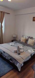 Marian House - Sibiu - 0