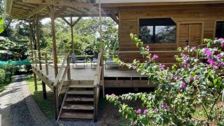 Eden Jungle Lodge - 8