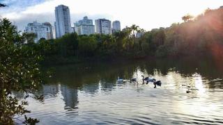 Ap 1 FRENTE AO PARK - Brasília - 4