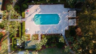 Dreamy Apartment Just 15 Minutes from Disney - 8