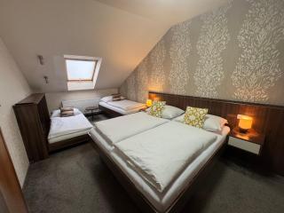 Apartmán Bílá Hora - Plzeň - 6