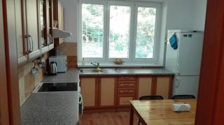 Apartmán Loprais Horní Lipová - Lipova Lazne - 5