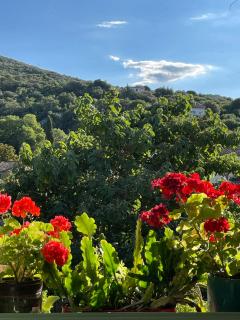 les Asphodèles 3 chambres - 4