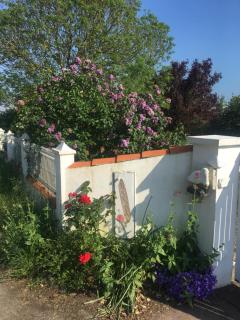Un studio indépendant avec jardin - Talmont - 3