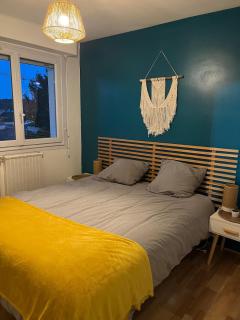Apartment T3 - Billère - 4