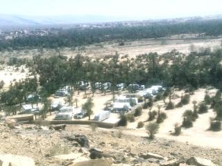 camping la palmerie rachid - - 2