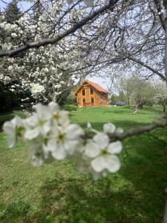 Alpokalja Rönkház - Bozsok - 4