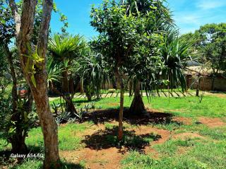 Forno Beach House - 6