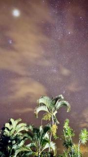Coffee Garden - Captain Cook - 9