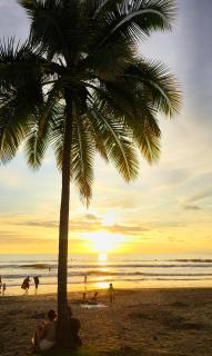 Jaco's Coastal Paradise Brand-New Retreat, AC, Pool View, Amazing Amenities - Jacó - 7