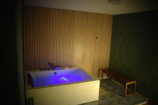 Ananda Gredos Suite - Arenas de San Pedro - 9