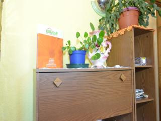 Forest Escape with Garden - 1