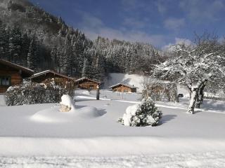Rauschberg Comfortable holiday residence - Ruhpolding - 4