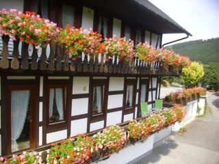 Flat in Schmallenberg with communal garden - Schmallenberg - 4