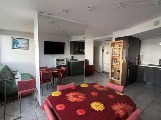 Appartement lumineux à Balaruc-les-Bains, animaux admis - FR-1-503-63 - 1