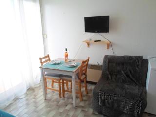 Studio climatisé, proche Thermes, animaux admis - FR-1-503-87 - Balaruc-les-Bains - 6