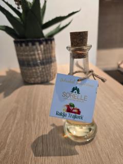 Apartman Sorelle - Vrnjačka Banja - 0