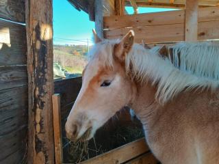 La Locanda Del Molino - 6