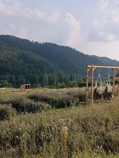 La Locanda Del Molino - 7
