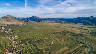 Villa Granny Nevenka near MAKARSKA - 0