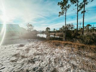 High Tides - 6