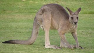 Serenity by Arthurs seat state park - 1