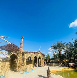 Sunset Tree Camp - 7