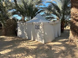 Sunset Tree Camp - Al Manshīyah - 6