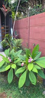Apartamentos Tupuna Lodge - Hanga Roa - 8