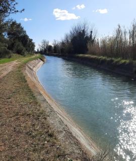 Sous la Glycine - Cavaillon - 0