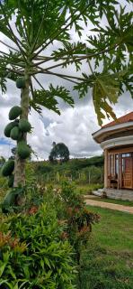 3 Enjovu Cottage - Benanda Forest Resort - 1