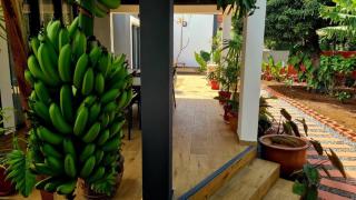 La Kazkifo - Jardin Bio et proche de la Plage - L’Étang-Salé - 9