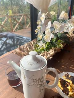 Sítio São Pedro de Alcântara com Spa Sauna - 7